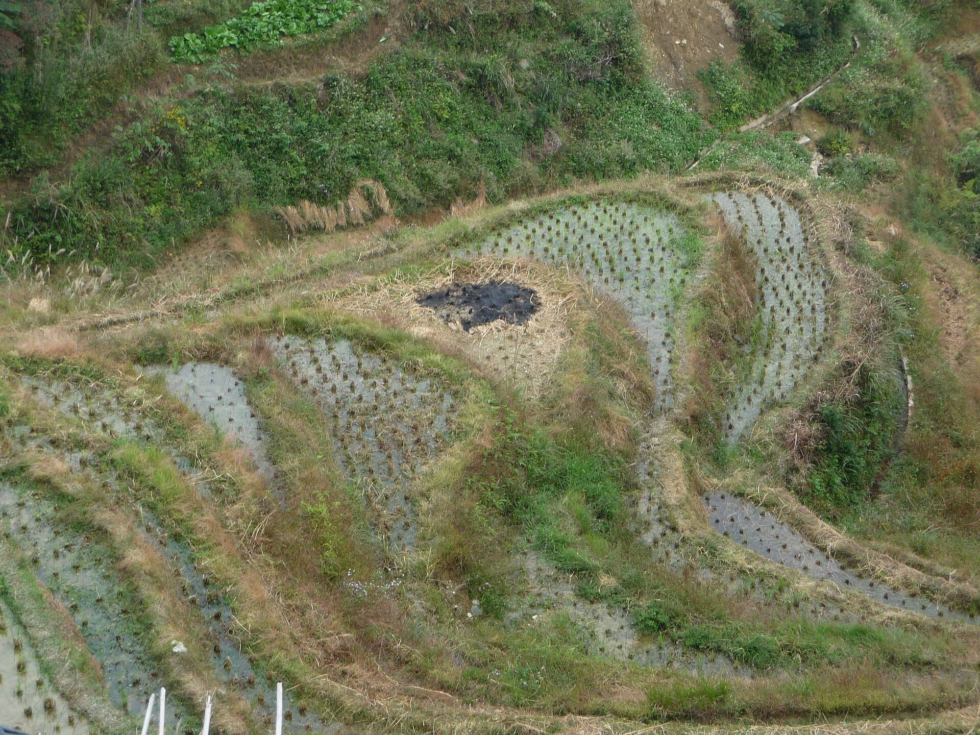 Rice terraces stepping down a hillside at Longji, flooded and reflecting the sky
