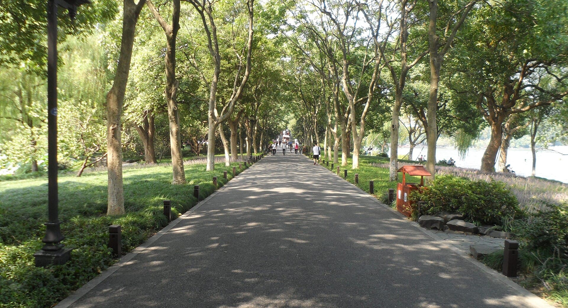 The tree-lined path of the Su Causeway in winter, with the lake visible on either side