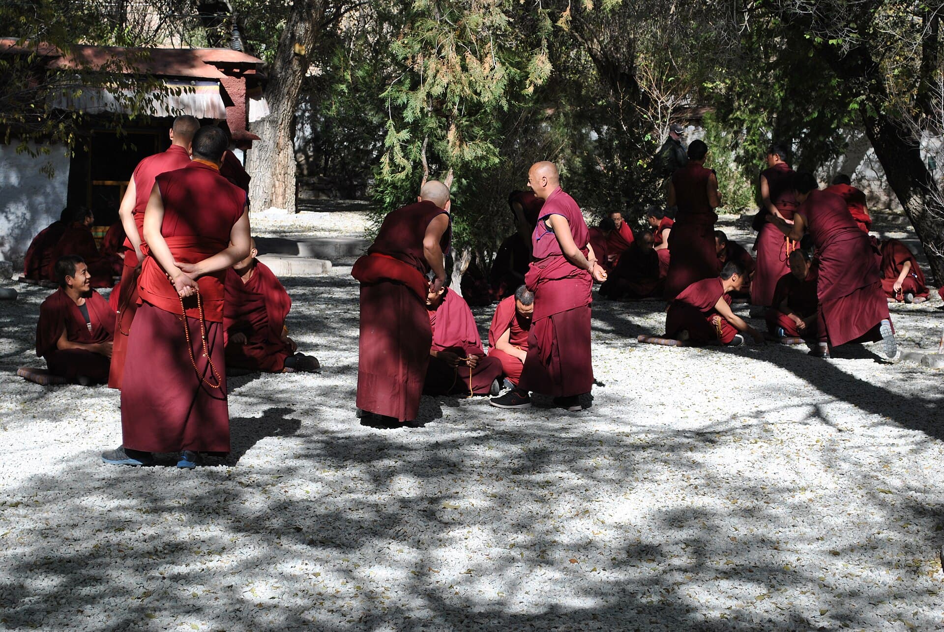 Red-robed monks debating in a gravel courtyard at Sera Monastery, one standing and clapping his hands towards another sitting