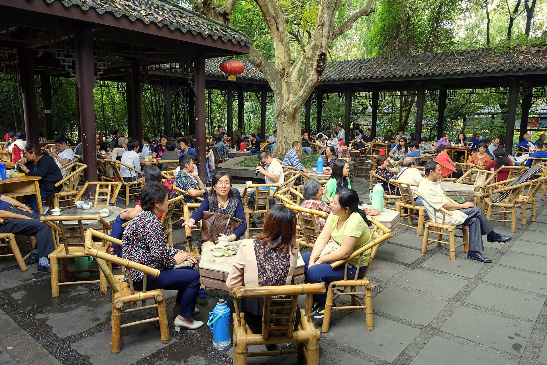 People sitting on bamboo chairs at low tables under trees at a teahouse in Chengdu's People's Park